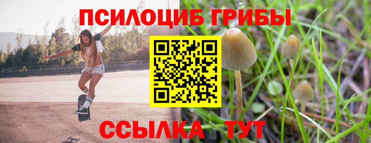 Псилоцибиновые грибы MAGIC MUSHROOMS Сибай
