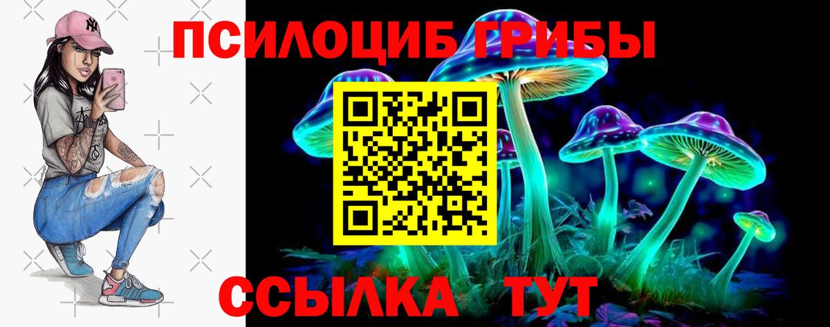 Псилоцибиновые грибы Psilocybe  Галлюциногенные грибы Psilocybine cubensis  Сибай  Вход с VPN 